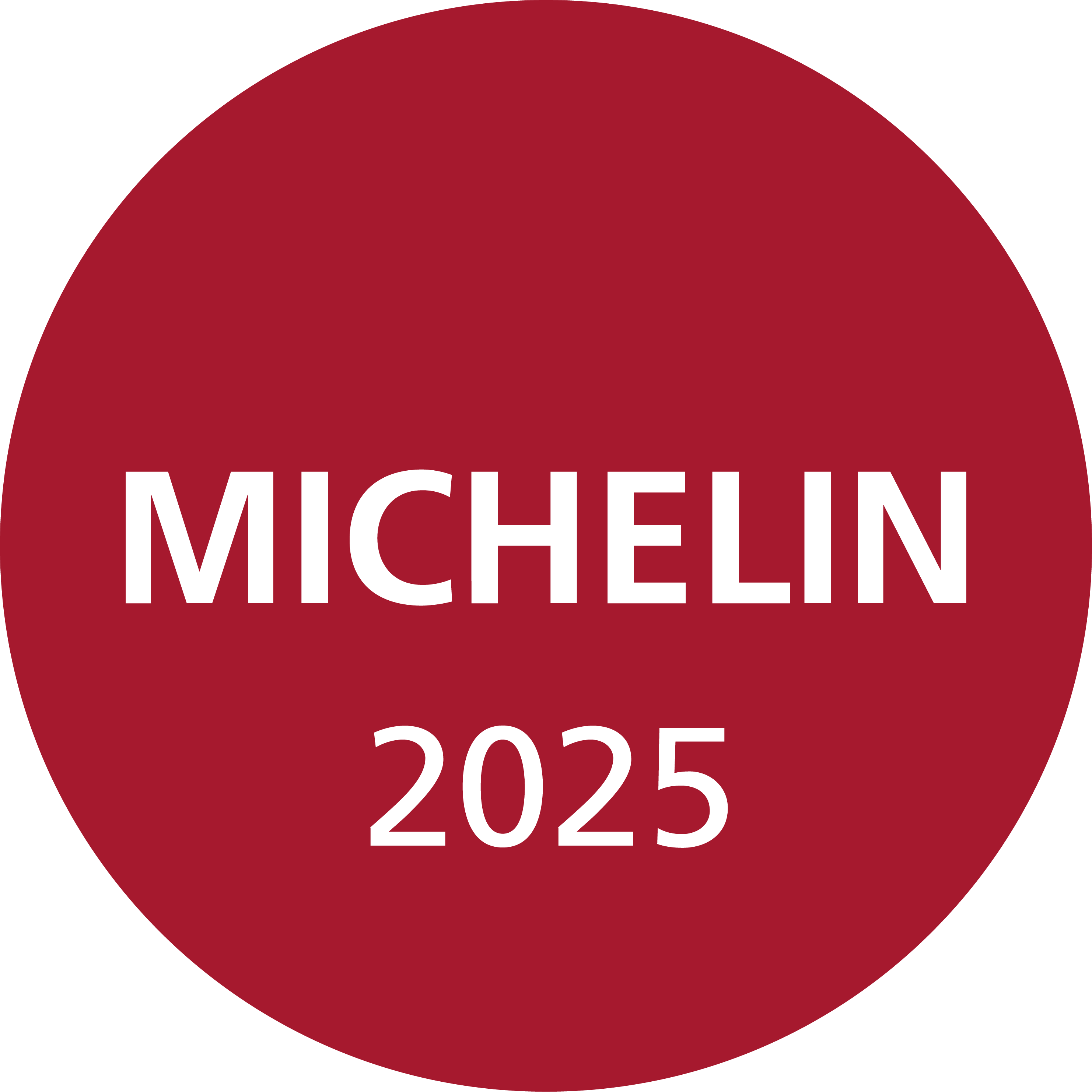 MICHELIN_2025_round.92e298cc.png